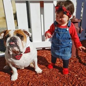 Meet your Posher, Steve